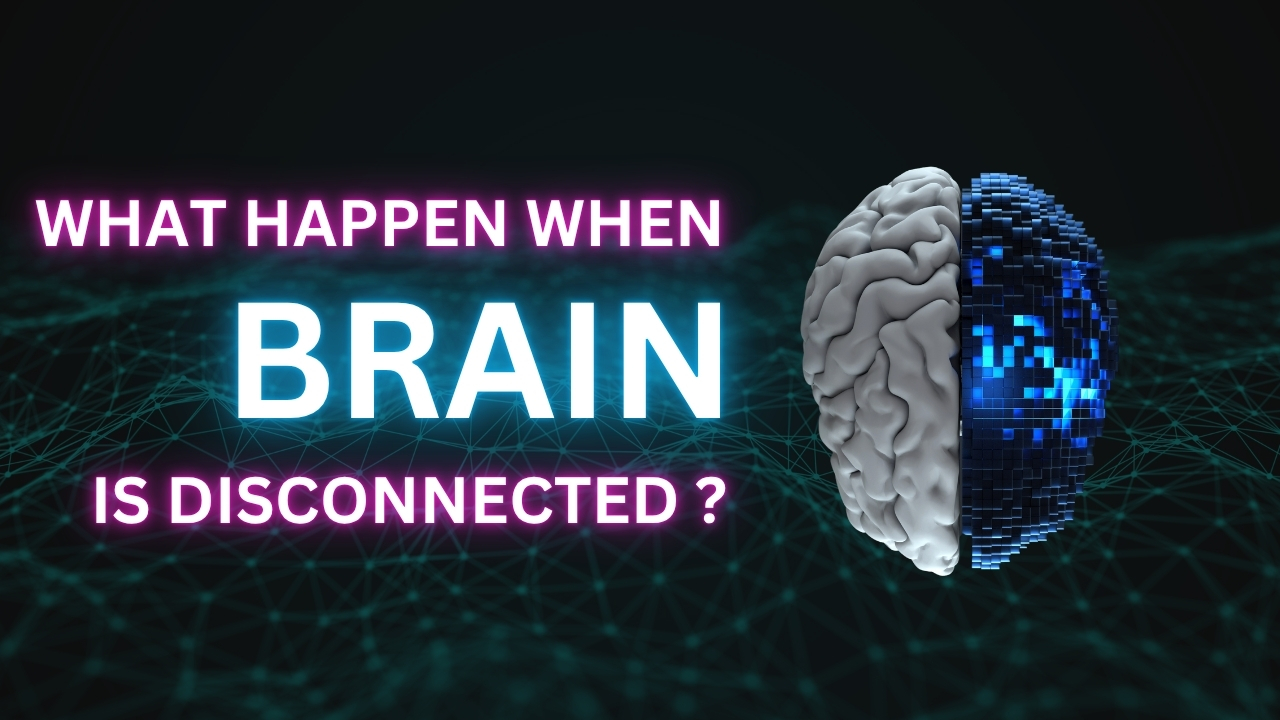 What Happens When the Brain Is Disconnected